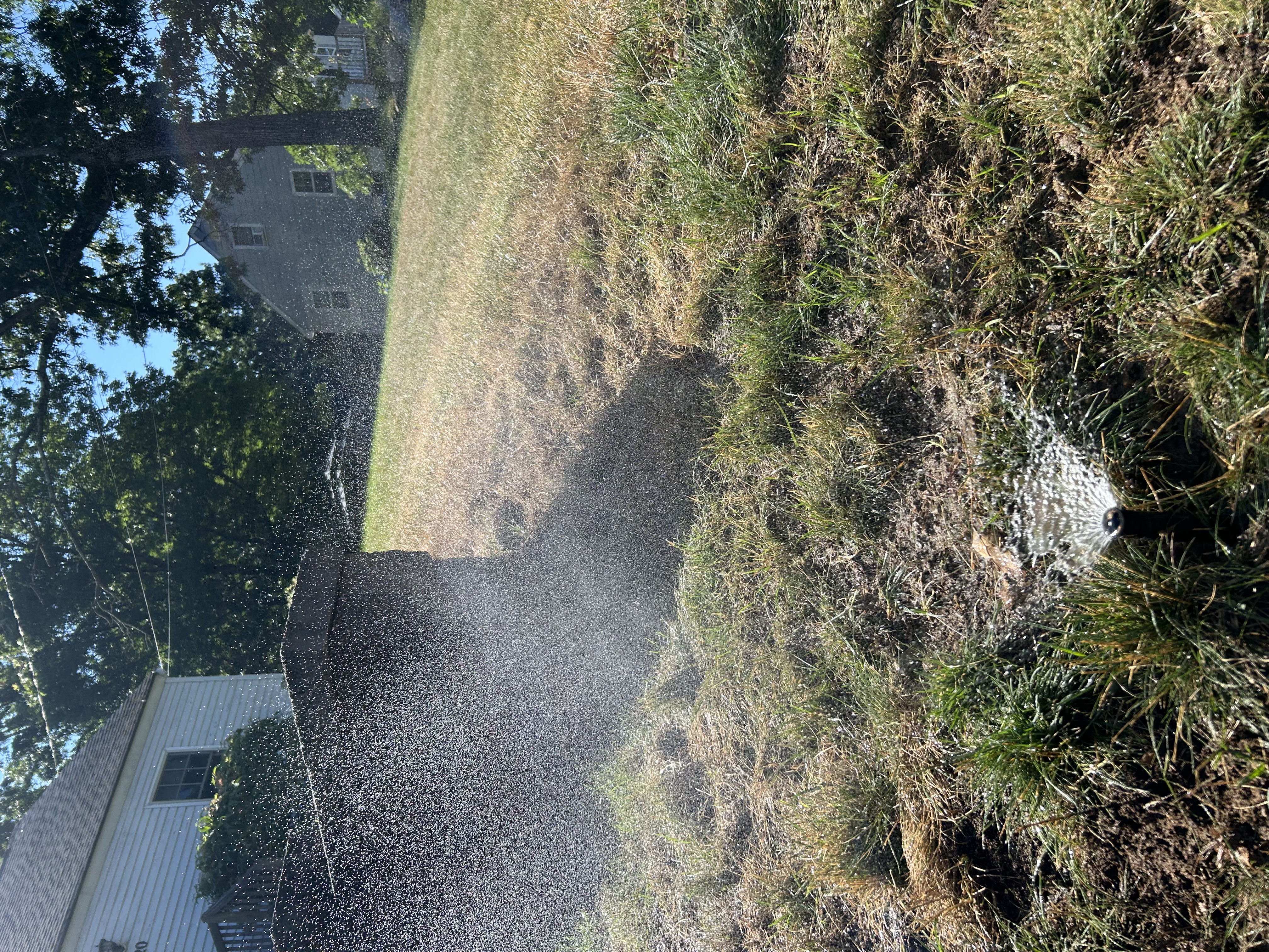 Close-up of sprinkler head installation and adjustment