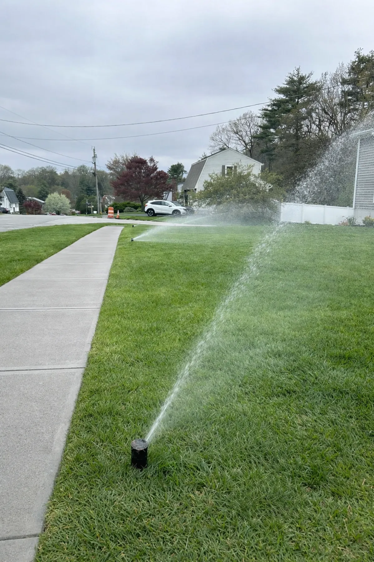 Landscaped garden with drip irrigation tubing